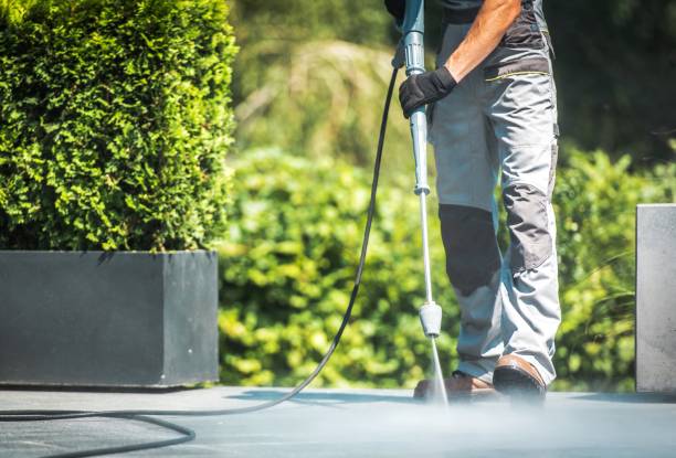 Best Factory Floor Cleaning  in Rosita, TX