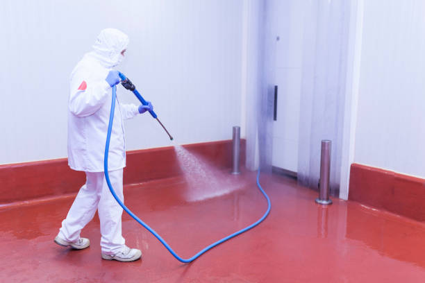 Professional  Pressure Washing Services in Rosita, TX