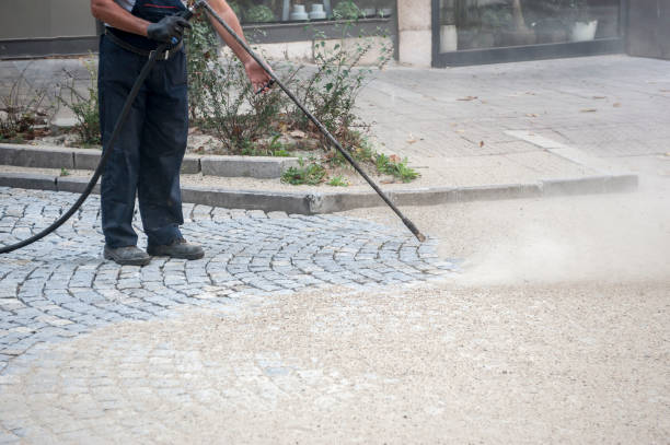 Best Building Exterior Washing  in Rosita, TX